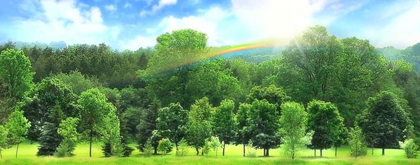 学生用条记本怎么选?华为MateBook D 2020锐龙版相识一下‘IM电竞平台’(图3) IM电竞官网