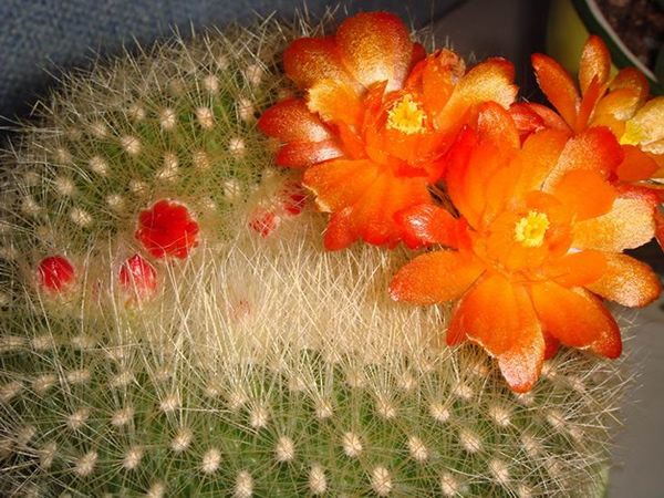 ‘IM电竞平台’生态环境部督导组赴汾渭平原指导调研重污染天气应对工作