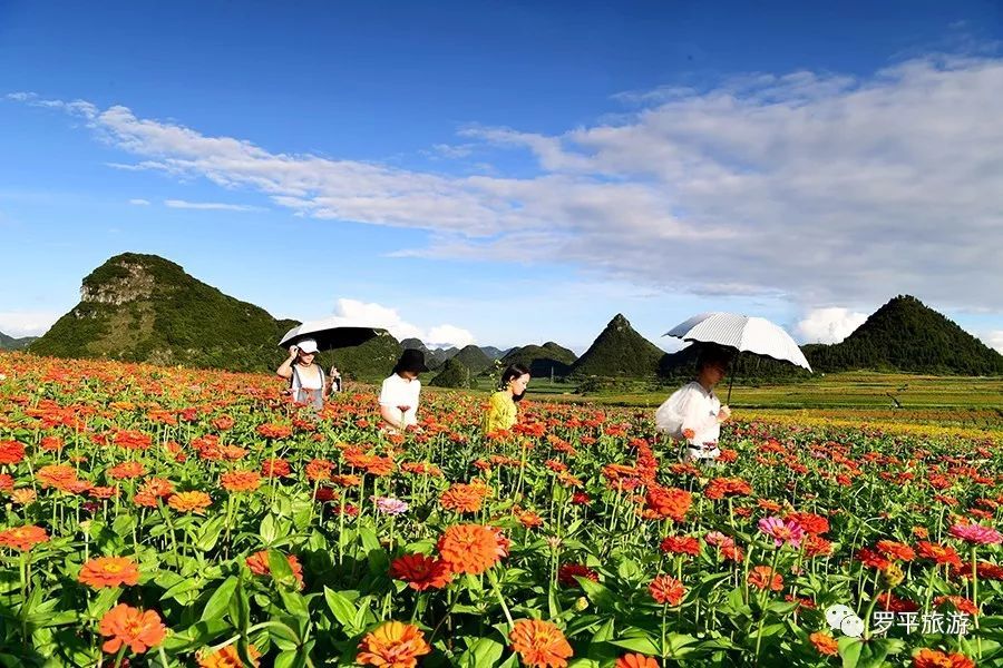 ‘IM电竞官网’丹麦冷却系统 可省80%能源(图2) IM电竞官网