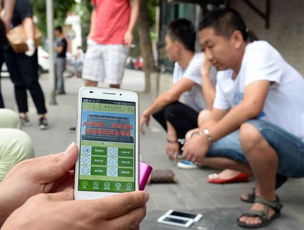 IM电竞官网-雏鹰农牧为