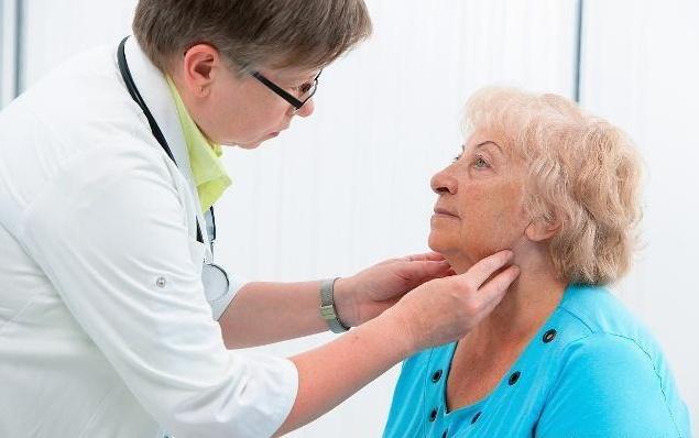 世界杯才是真“好球”,知名色情门户在决赛日遇流量滑铁卢:IM电竞平台(图4) IM电竞平台