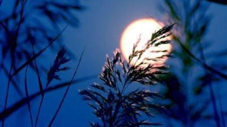 司法部生态环境部等将联合推动制定出台长江保护法‘IM电竞平台’