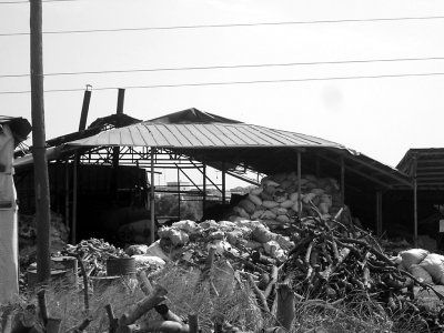 
打造品味办公室 书法字画不行少-IM电竞平台