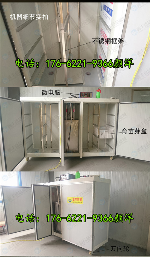 ‘IM电竞平台’欧国联打得火热，老爷爷看台上潜心读书