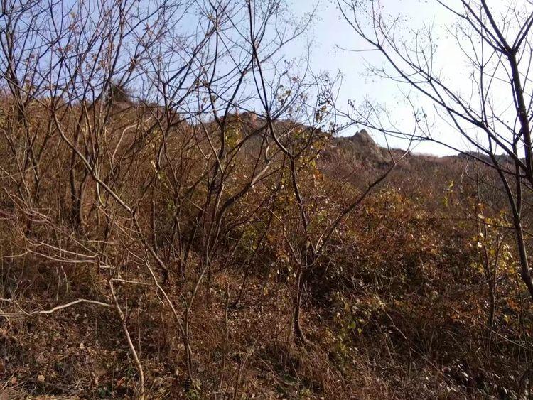 捷U21: 普利布兰U21战胜杜卡拉U21 比分3:2_IM电竞平台