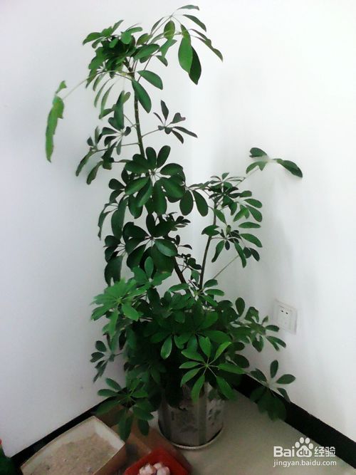 IM电竞_
什么是公共卫生