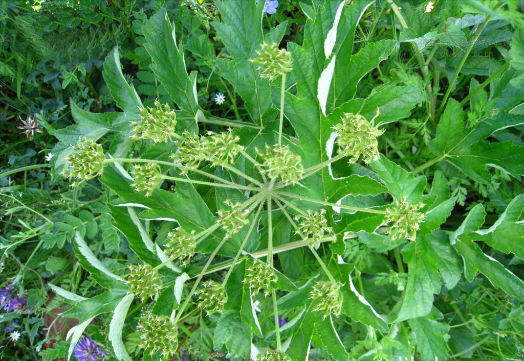 尴尬，葡萄牙近9场先丢球的世界杯比赛都输了【IM电竞】