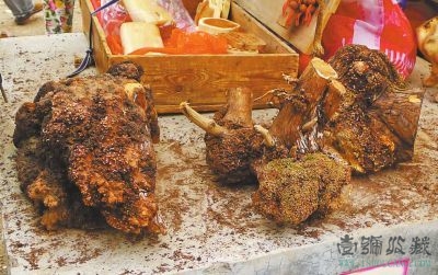 IM电竞官网_布局黄河，推动黄河流域生态保护和高质量发展