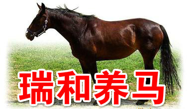 继续买，曼城要桑切斯或姆巴佩【IM电竞平台】